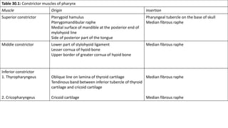 Raph In Muscles Pharynx Complete detail only in one.pptx