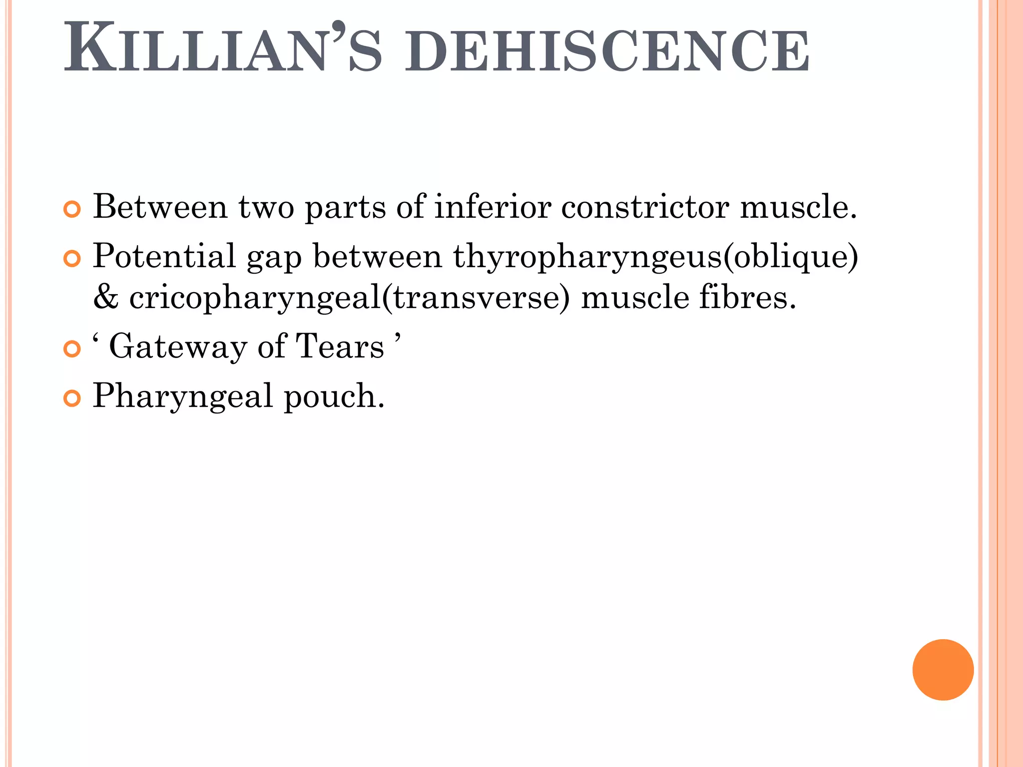 KILLIAN’S DEHISCENCE
 Between two parts of inferior constrictor muscle.
 Potential gap between thyropharyngeus(oblique)
& cricopharyngeal(transverse) muscle fibres.
 ‘ Gateway of Tears ’
 Pharyngeal pouch.
 