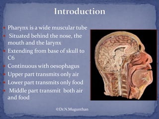  Pharynx is a wide muscular tube
 Situated behind the nose, the
mouth and the larynx
 Extending from base of skull to
C6
 Continuous with oesophagus
 Upper part transmits only air
 Lower part transmits only food
 Middle part transmit both air
and food
©Dr.N.Mugunthan
 