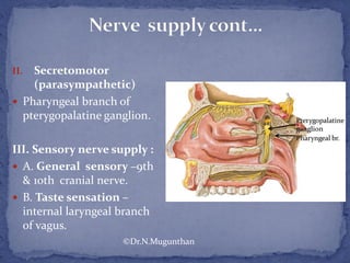 II. Secretomotor
(parasympathetic)
 Pharyngeal branch of
pterygopalatine ganglion.
III. Sensory nerve supply :
 A. General sensory –9th
& 10th cranial nerve.
 B. Taste sensation –
internal laryngeal branch
of vagus.
©Dr.N.Mugunthan
 