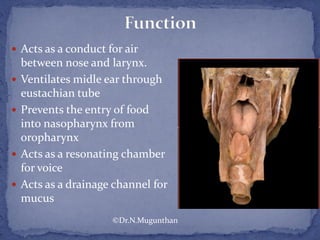  Acts as a conduct for air
between nose and larynx.
 Ventilates midle ear through
eustachian tube
 Prevents the entry of food
into nasopharynx from
oropharynx
 Acts as a resonating chamber
for voice
 Acts as a drainage channel for
mucus
©Dr.N.Mugunthan
 