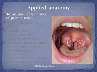  Tonsillitis : inflammation
of palatine tonsil
 Quinsy: peritonsillar
abscess
 Adenoiditis :
inflammation of
nasopharyngeal tonsil
 Zenker’s diverticulum :
due to neuromuscular
incoordination of
inf.constrictor
(accumulated food causes
a mucosal pouch in
killian’s dehiscence).©Dr.N.Mugunthan
 