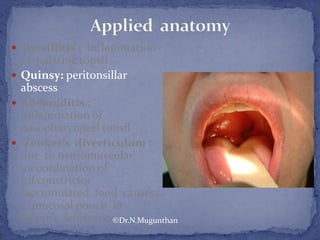  Tonsillitis : inflammation
of palatine tonsil
 Quinsy: peritonsillar
abscess
 Adenoiditis :
inflammation of
nasopharyngeal tonsil
 Zenker’s diverticulum :
due to neuromuscular
incoordination of
inf.constrictor
(accumulated food causes
a mucosal pouch in
killian’s dehiscence).©Dr.N.Mugunthan
 