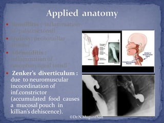  Tonsillitis : inflammation
of palatine tonsil
 Quinsy: peritonsillar
abscess
 Adenoiditis :
inflammation of
nasopharyngeal tonsil
 Zenker’s diverticulum :
due to neuromuscular
incoordination of
inf.constrictor
(accumulated food causes
a mucosal pouch in
killian’s dehiscence).
©Dr.N.Mugunthan
 
