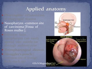  Pharyngitis- inflammation
of pharyngeal mucosa .
 Nasopharynx -common site
of carcinoma [Fossa of
Rosen muller ].
 Infection from
nasopharynx can easily
spread into middle ear
through auditory tube.
 Retropharyngeal abscess.
 Smuggler's pouch (
common site of foreign
body stuck up)
©Dr.N.Mugunthan
 