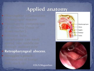  Pharyngitis- inflammation
of pharyngeal mucosa .
 Nasopharynx -common site
of carcinoma [Fossa of
Rosen muller ].
 Infection from
nasopharynx can easily
spread into middle ear
through auditory tube.
 Retropharyngeal abscess.
 Smuggler's pouch (
common site of foreign
body stuck up)
©Dr.N.Mugunthan
 