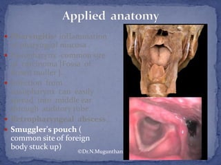  Pharyngitis- inflammation
of pharyngeal mucosa .
 Nasopharynx -common site
of carcinoma [Fossa of
Rosen muller ].
 Infection from
nasopharynx can easily
spread into middle ear
through auditory tube.
 Retropharyngeal abscess.
 Smuggler's pouch (
common site of foreign
body stuck up)
©Dr.N.Mugunthan
 