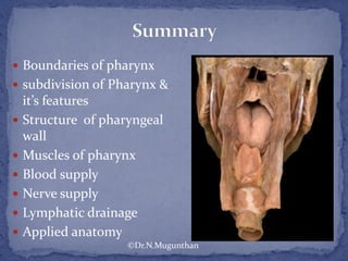  Boundaries of pharynx
 subdivision of Pharynx &
it’s features
 Structure of pharyngeal
wall
 Muscles of pharynx
 Blood supply
 Nerve supply
 Lymphatic drainage
 Applied anatomy
©Dr.N.Mugunthan
 
