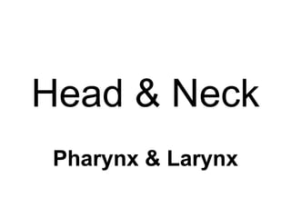 Head & Neck
Pharynx & Larynx
 