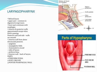 LARYNGOPHARYNX
• Behind larynx
• upper part - common to
digestive & respi tracts
• lower part continues with
esophagus
• Anterior & posterior walls
approximated except when
food is passing
Posterior wall and side - walls
are smooth.
• Anterior wall from above
downwards presents
– epiglottis
– aryepiglottic folds
– Arytenoids & cricoid
– inlet of larynx
– piriform fossa
• Anterior wall - back of larynx.
PARTS
1.PYRIFORM FOSSA
2.POST CRICOID
3.POSTER PHARYNGEAL WALL
 