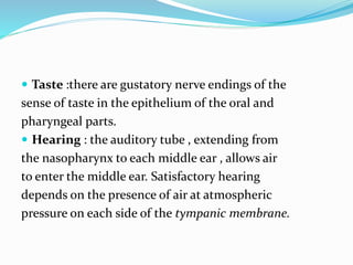  Taste :there are gustatory nerve endings of the
sense of taste in the epithelium of the oral and
pharyngeal parts.
 Hearing : the auditory tube , extending from
the nasopharynx to each middle ear , allows air
to enter the middle ear. Satisfactory hearing
depends on the presence of air at atmospheric
pressure on each side of the tympanic membrane.
 