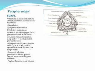 .
Parapharyngeal
space.
• Pyramidal in shape with its base
at the base of skull and apex at the
hyoid bone
• Boundaries:
a) Superior: base of skull
b) Inferior: mediastinum
c) Medial: buccopharyngeal fascia,
prevertebral muscle and fascia
d) Lateral: ramus of mandible,
deep surface of parotid, medial
pterygoid muscle
• Contents: carotid artery, jugular
vein, CN ix, x, xi, xii, cervical
sympathetic trunk, deep cervical
lymph nodes
-Sources of infection:
peritonsillar abscess, parotid
abscess, submandibular gland
infection.
-Applied: Parapharynreal abscess.
 