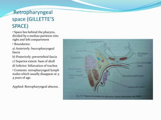 Retropharyngeal
space (GILLETTE’S
SPACE)
• Space lies behind the pharynx,
divided by a median partition into
right and left compartment
• Boundaries:
a) Anteriorly: buccopharyngeal
fascia
b) Posteriorly: prevertebral fascia
c) Superior extent: base of skull
d) Inferior: bifurcation of trachea
• Contents: retropharyngeal lymph
nodes which usually disappear at 3-
4 years of age.
Applied: Retropharyngeal abscess .
 