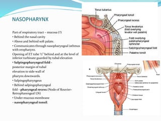 NASOPHARYNX
Part of respiratory tract – mucosa (?)
• Behind the nasal cavity
• Above and behind soft palate.
• Communicates through nasopharyngeal isthmus
with oropharynx.
Opening of ET tube ½” behind and at the level of
inferior turbinate guarded by tubal elevation
• Salpingopharyngeal fold -
posterior margin of tubal
elevation to side-wall of
pharynx downwards.
• Salpingopharyngeus
• Behind salpingopharyngeal
fold - pharyngeal recess.(Node of Rouvier-
Retropharengeal LN)
• Under mucous membrane
- nasopharyngeal tonsil.
 