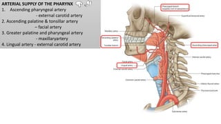 ARTERIAL SUPPLY OF THE PHARYNX
1. Ascending pharyngeal artery
- external carotid artery
2. Ascending palatine & tonsillar artery
– facial artery
3. Greater palatine and pharyngeal artery
- maxillaryartery
4. Lingual artery - external carotid artery
 