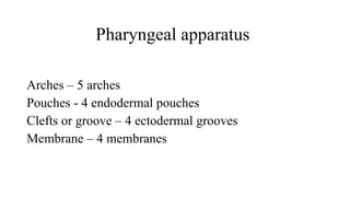 This presentation is about Pharynx Seminar.pptx