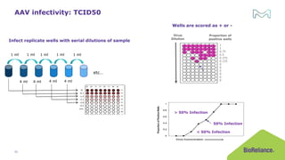 Webinar: Is Phase-Appropriate Validation the Right Choice for your Cell ...