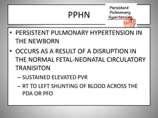 PPHN
• PERSISTENT PULMONARY HYPERTENSION IN
THE NEWBORN
• OCCURS AS A RESULT OF A DISRUPTION IN
THE NORMAL FETAL-NEONATAL CIRCULATORY
TRANISITON
– SUSTAINED ELEVATED PVR
– RT TO LEFT SHUNTING OF BLOOD ACROSS THE
PDA OR PFO
 