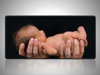 SCN Training, Phase 1: PPT Presentation