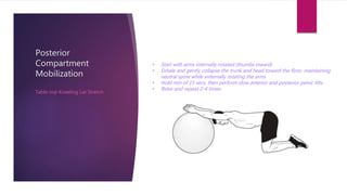 Proximal Stability & Core Rehabilitation | PPTX