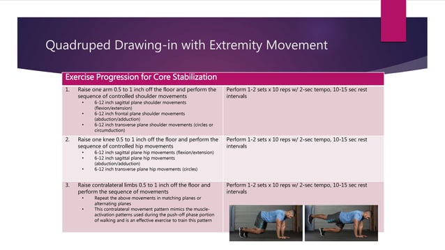 Proximal Stability & Core Rehabilitation | PPT