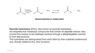 Epoxide hydrolases (EH's), also known as epoxide hydratases,
are enzymes that metabolize compounds that contain an epoxide residue; they
convert this residue to two hydroxyl residues through a dihydroxylation reaction
to form diol products
The hydrolases are distinguished from each other by their substrate preferences
and, directly related to this, their functions
General mechanism of amidase action
30-03-2022 14
 