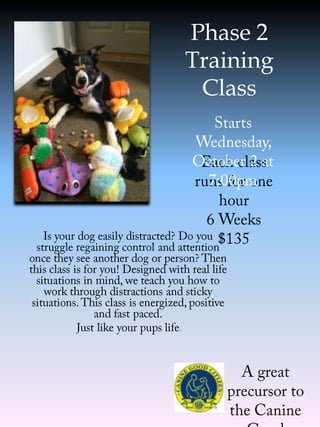 Phase 2
Training
Class

 