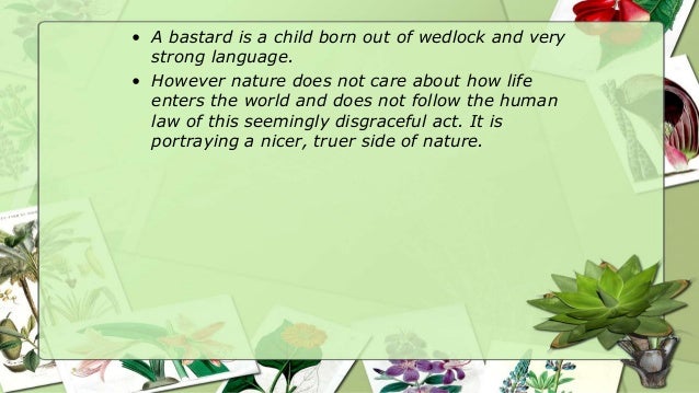 Tess Of The D Urberville S Phase 2 Quote Analysis Tess Of The D Urberville S Phase 2 Quote Analysis