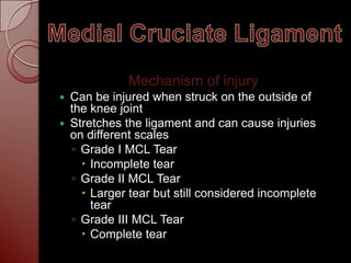 Mcl Rupture Classification Injuries to ACL, PCL, and MCL | PPTX
