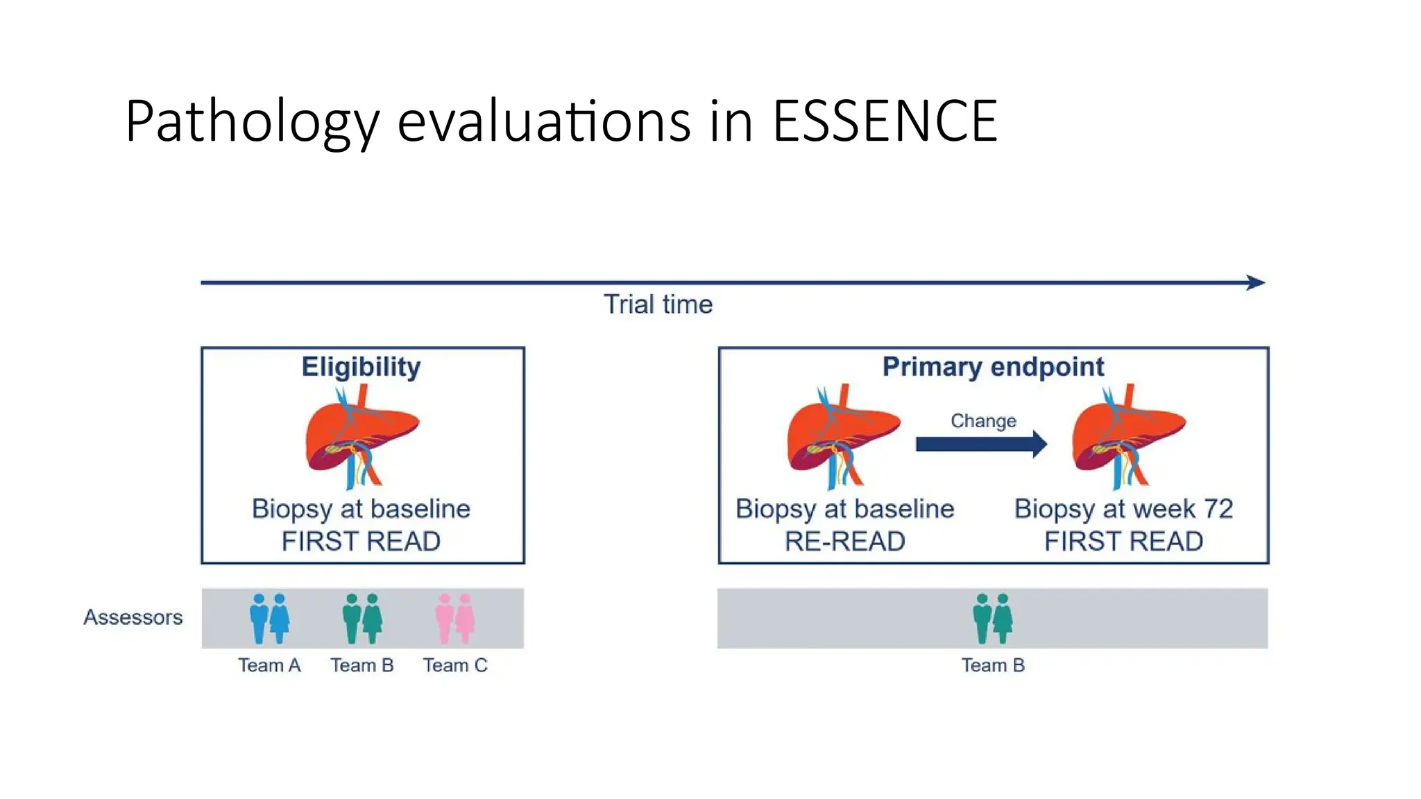 essence trial semaglutide Phase 3 Trial of Semaglutide in Metabolic Dysfunction.pptx