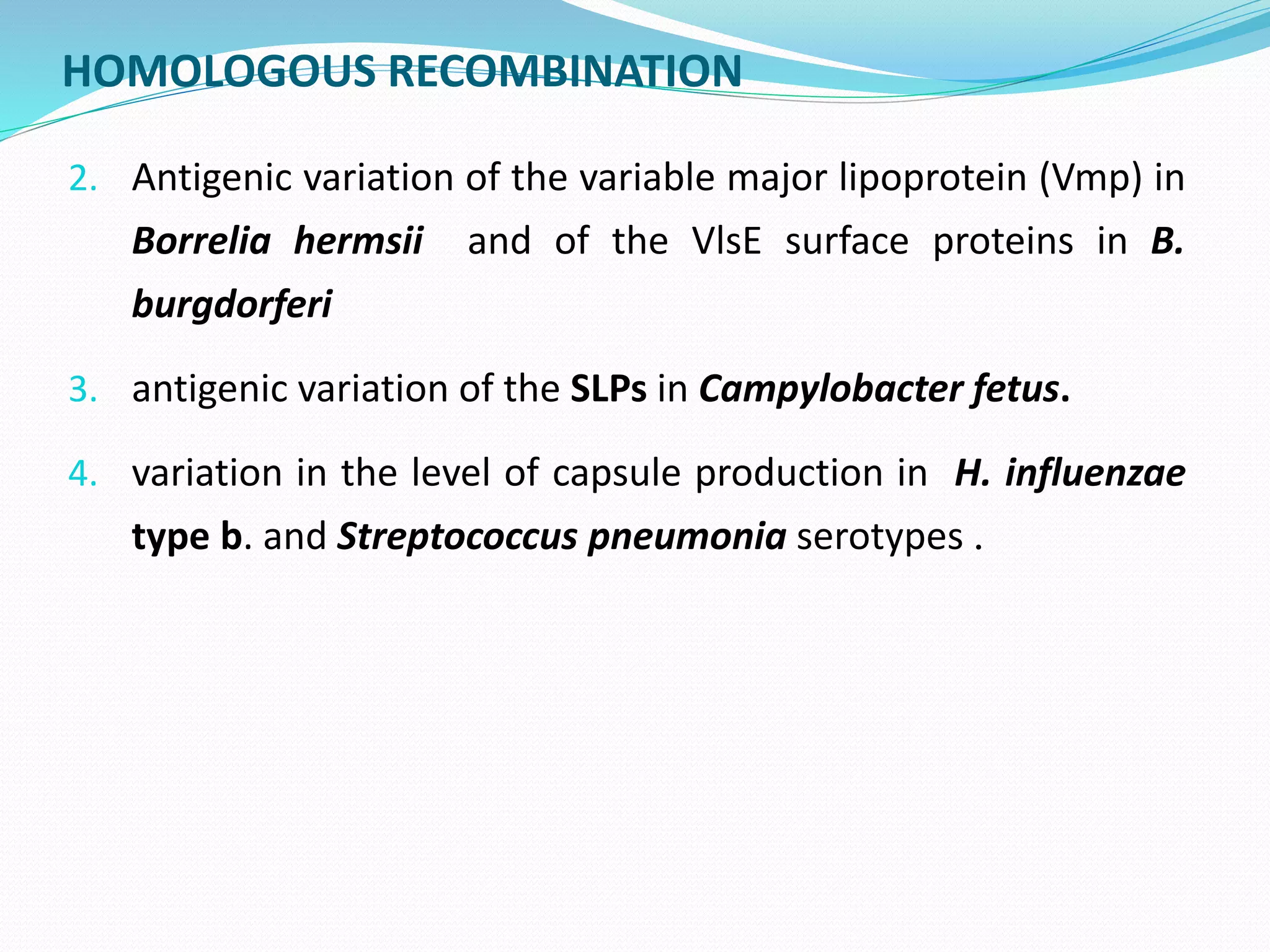 Phase and antigenic variations in bacteria