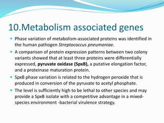 Spxb H2o2 Phase and antigenic variations in bacteria | PPTX