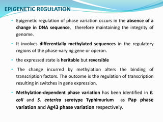 Phase and antigenic variations in bacteria | PPTX