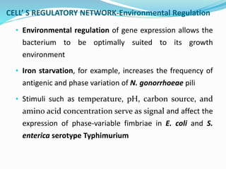 Phase and antigenic variations in bacteria | PPTX