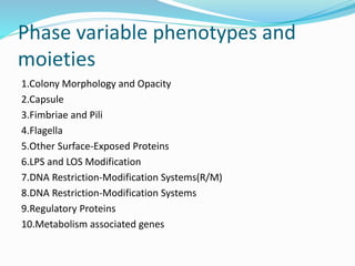 Phase and antigenic variations in bacteria | PPTX