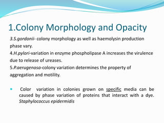 Phase and antigenic variations in bacteria | PPTX