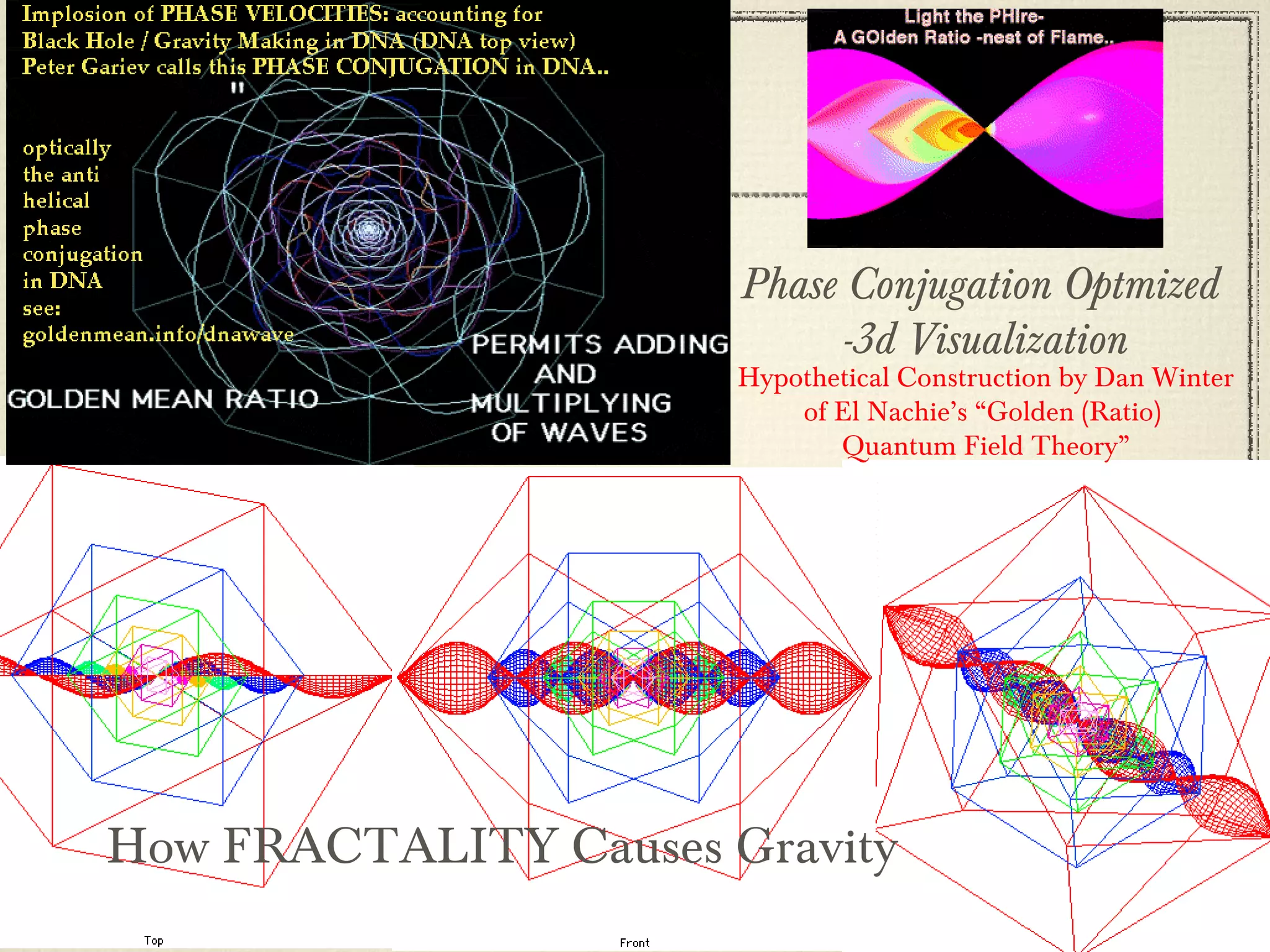 Phase Conjugation. Fractality, Negentropy and Implosion from Dan ...