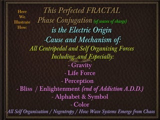 Phase Conjugation. Fractality, Negentropy and Implosion from Dan 