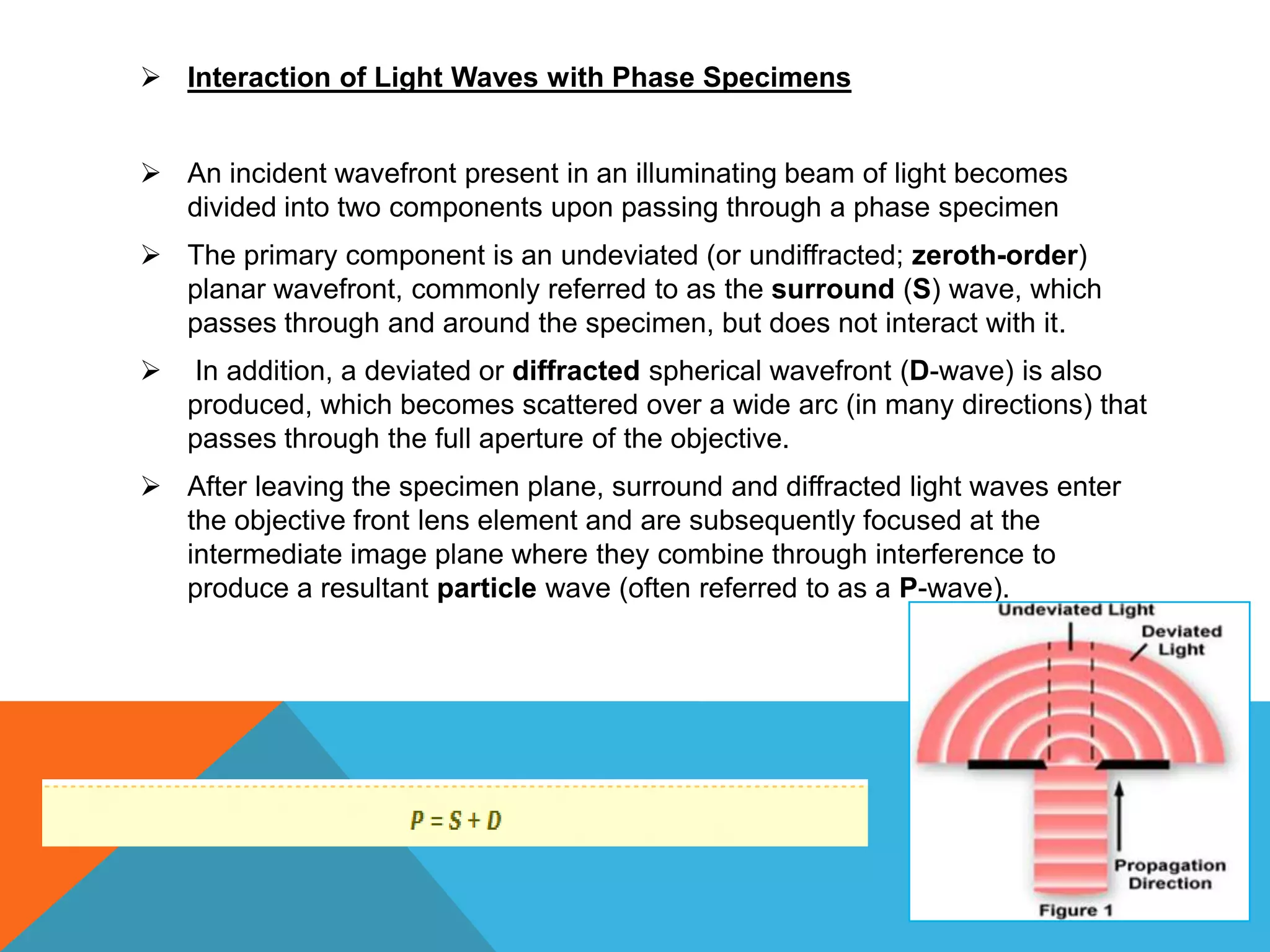  Interaction of Light Waves with Phase Specimens


 An incident wavefront present in an illuminating beam of light becomes
  divided into two components upon passing through a phase specimen
 The primary component is an undeviated (or undiffracted; zeroth-order)
  planar wavefront, commonly referred to as the surround (S) wave, which
  passes through and around the specimen, but does not interact with it.
   In addition, a deviated or diffracted spherical wavefront (D-wave) is also
    produced, which becomes scattered over a wide arc (in many directions) that
    passes through the full aperture of the objective.
 After leaving the specimen plane, surround and diffracted light waves enter
  the objective front lens element and are subsequently focused at the
  intermediate image plane where they combine through interference to
  produce a resultant particle wave (often referred to as a P-wave).
 