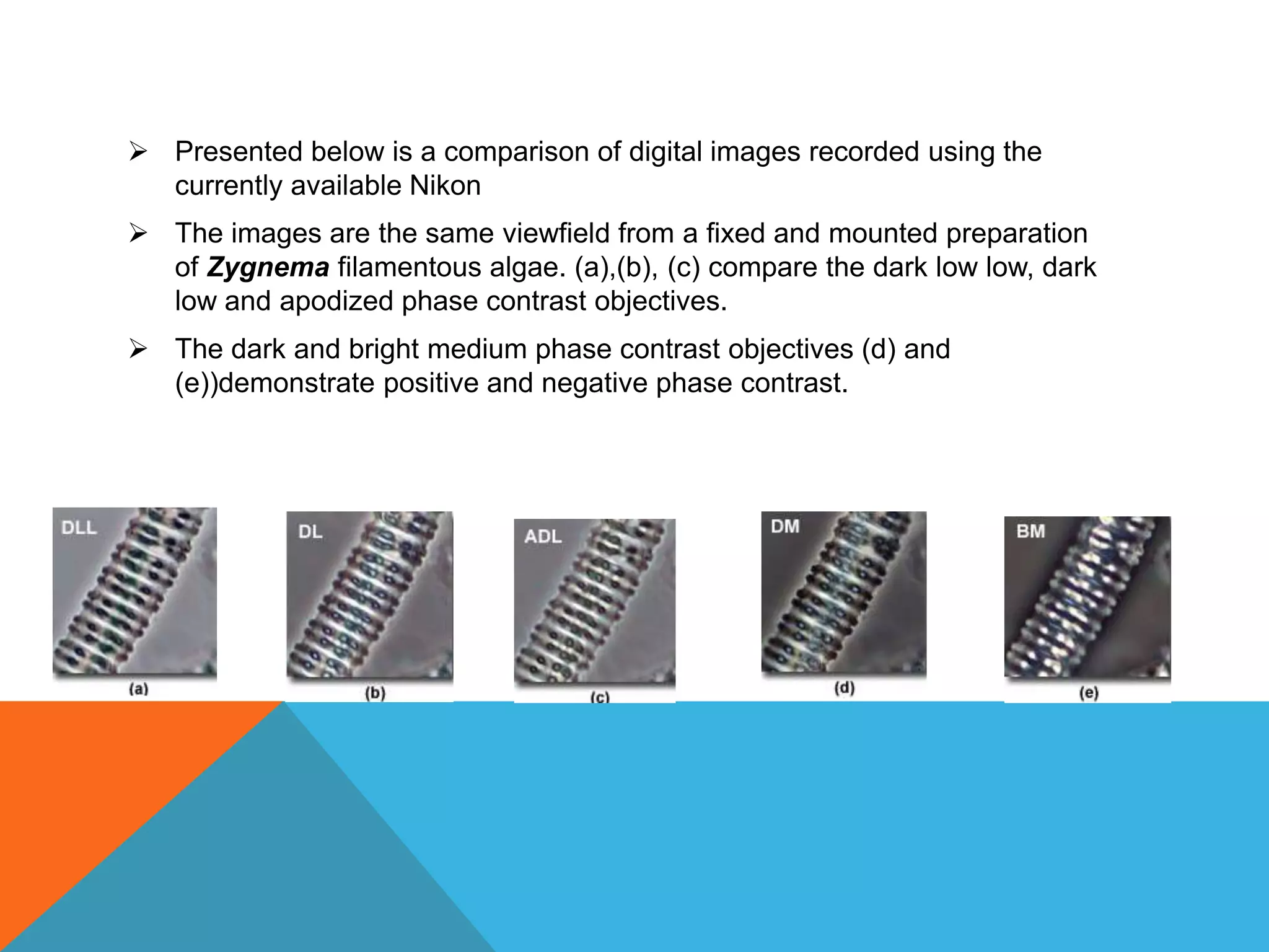  Presented below is a comparison of digital images recorded using the
  currently available Nikon
 The images are the same viewfield from a fixed and mounted preparation
  of Zygnema filamentous algae. (a),(b), (c) compare the dark low low, dark
  low and apodized phase contrast objectives.
 The dark and bright medium phase contrast objectives (d) and
  (e))demonstrate positive and negative phase contrast.
 