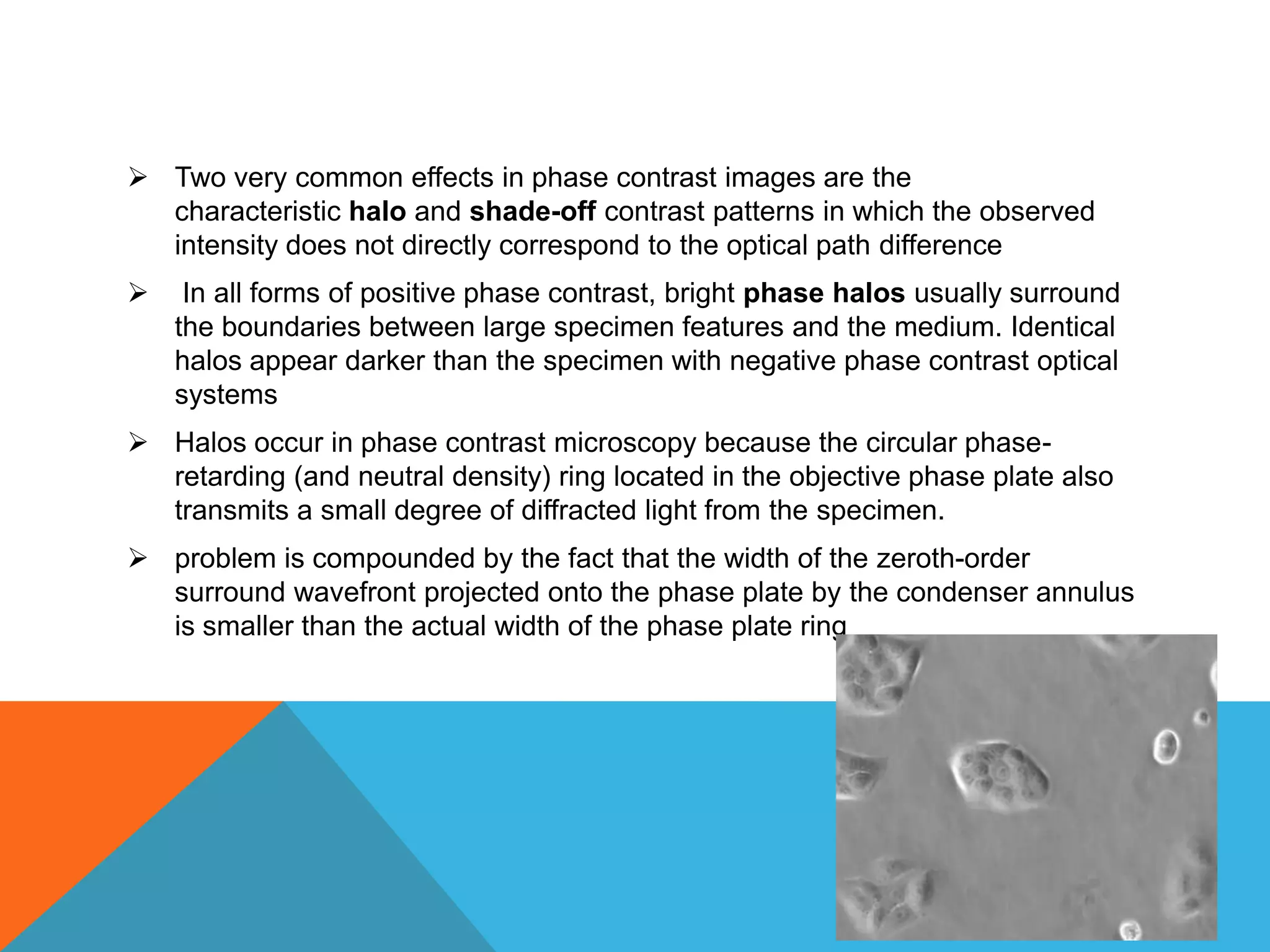 Two very common effects in phase contrast images are the
  characteristic halo and shade-off contrast patterns in which the observed
  intensity does not directly correspond to the optical path difference
    In all forms of positive phase contrast, bright phase halos usually surround
    the boundaries between large specimen features and the medium. Identical
    halos appear darker than the specimen with negative phase contrast optical
    systems
 Halos occur in phase contrast microscopy because the circular phase-
  retarding (and neutral density) ring located in the objective phase plate also
  transmits a small degree of diffracted light from the specimen.
 problem is compounded by the fact that the width of the zeroth-order
  surround wavefront projected onto the phase plate by the condenser annulus
  is smaller than the actual width of the phase plate ring
 