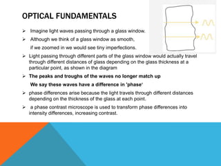 OPTICAL FUNDAMENTALS
 Imagine light waves passing through a glass window.
 Although we think of a glass window as smooth,
   if we zoomed in we would see tiny imperfections.
 Light passing through different parts of the glass window would actually travel
  through different distances of glass depending on the glass thickness at a
  particular point, as shown in the diagram
 The peaks and troughs of the waves no longer match up
   We say these waves have a difference in 'phase‘
 phase differences arise because the light travels through different distances
  depending on the thickness of the glass at each point.
 a phase contrast microscope is used to transform phase differences into
  intensity differences, increasing contrast.
 