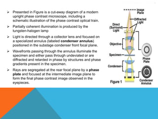  Presented in Figure is a cut-away diagram of a modern
  upright phase contrast microscope, including a
  schematic illustration of the phase contrast optical train.
 Partially coherent illumination is produced by the
  tungsten-halogen lamp
 Light is directed through a collector lens and focused on
  a specialized annulus (labeled condenser annulus)
  positioned in the substage condenser front focal plane.
 Wavefronts passing through the annulus illuminate the
  specimen and either pass through undeviated or are
  diffracted and retarded in phase by structures and phase
  gradients present in the specimen.
 Rays are segregated at the rear focal plane by a phase
  plate and focused at the intermediate image plane to
  form the final phase contrast image observed in the
  eyepieces.
 