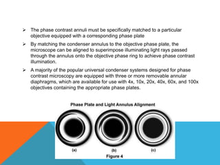  The phase contrast annuli must be specifically matched to a particular
  objective equipped with a corresponding phase plate
 By matching the condenser annulus to the objective phase plate, the
  microscope can be aligned to superimpose illuminating light rays passed
  through the annulus onto the objective phase ring to achieve phase contrast
  illumination.
 A majority of the popular universal condenser systems designed for phase
  contrast microscopy are equipped with three or more removable annular
  diaphragms, which are available for use with 4x, 10x, 20x, 40x, 60x, and 100x
  objectives containing the appropriate phase plates.
 