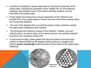 Contrast is modulated in phase objectives by varying the properties of the
  phase plate, including the absorption of the metallic film (or anti-reflective
  coatings), the refractive index of the phase retarding material, and the
  thickness of the phase plate.
 Phase plates are produced by vacuum deposition of thin dielectric and
  metallic films onto a glass plate or directly onto one of the lens surfaces within
  the microscope objective
    The role of the dielectric film is to shift the phase of light, while the metallic
    film attenuates undiffracted light intensity.
    The thickness and refractive indices of the dielectric, metallic, and anti-
    reflective films, as well as those of the optical cement, are carefully selected
    to produce the necessary phase shift.
 In optical terminology, phase plates that alter the phase of surround light
  relative to diffracted light by 90 degrees (either positive or negative) are
  termed quarter wavelength plates because of their effect on the optical path
  difference
 
