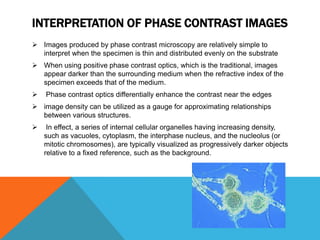 INTERPRETATION OF PHASE CONTRAST IMAGES
 Images produced by phase contrast microscopy are relatively simple to
  interpret when the specimen is thin and distributed evenly on the substrate
 When using positive phase contrast optics, which is the traditional, images
  appear darker than the surrounding medium when the refractive index of the
  specimen exceeds that of the medium.
   Phase contrast optics differentially enhance the contrast near the edges
 image density can be utilized as a gauge for approximating relationships
  between various structures.
    In effect, a series of internal cellular organelles having increasing density,
    such as vacuoles, cytoplasm, the interphase nucleus, and the nucleolus (or
    mitotic chromosomes), are typically visualized as progressively darker objects
    relative to a fixed reference, such as the background.
 