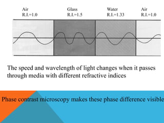 Air               Glass          Water        Air
       R.I.=1.0          R.I.=1.5       R.I.=1.33    R.I.=1.0




  The speed and wavelength of light changes when it passes
  through media with different refractive indices


Phase contrast microscopy makes these phase difference visible
 