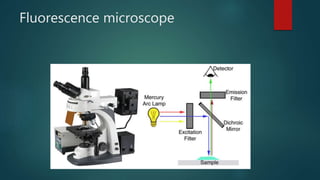 Fluorescence microscope
 