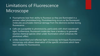 Limitations of Fluorescence
Microscope
 Fluorophores lose their ability to fluoresce as they are illuminated in a
process called photobleaching. Photobleaching occurs as the fluorescent
molecules accumulate chemical damage from the electrons excited during
fluorescence.
 Cells are susceptible to phototoxicity, particularly with short-wavelength
light. Furthermore, fluorescent molecules have a tendency to generate
reactive chemical species when under illumination which enhances the
phototoxic effect.
 Unlike transmitted and reflected light microscopy techniques fluorescence
microscopy only allows observation of the specific structures which have
been labeled for fluorescence.
 