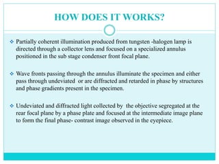 HOW DOES IT WORKS?
 Partially coherent illumination produced from tungsten -halogen lamp is
directed through a collector lens and focused on a specialized annulus
positioned in the sub stage condenser front focal plane.
 Wave fronts passing through the annulus illuminate the specimen and either
pass through undeviated or are diffracted and retarded in phase by structures
and phase gradients present in the specimen.
 Undeviated and diffracted light collected by the objective segregated at the
rear focal plane by a phase plate and focused at the intermediate image plane
to form the final phase- contrast image observed in the eyepiece.
 